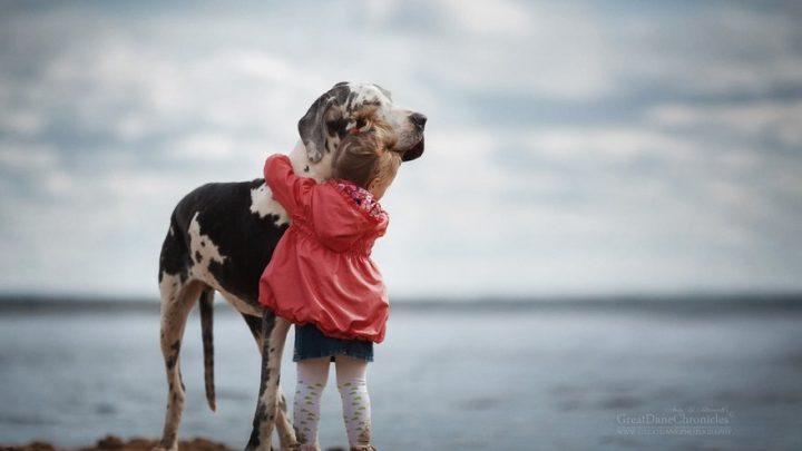 Трогательный фотопроект о маленьких детях и их друзьях – больших собаках