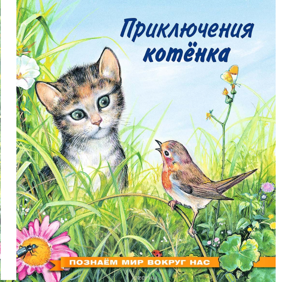 Приключения котенка