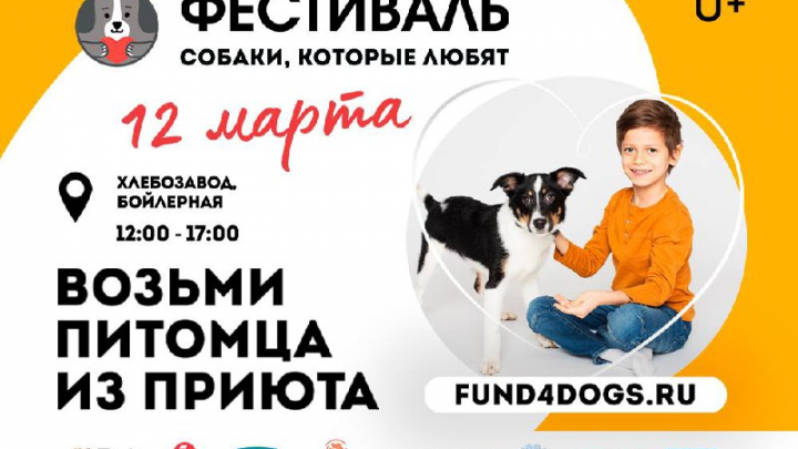 Фестиваль «Собаки, которые любят», 12 марта