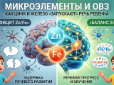 Микроэлементы и ОВЗ: как дефицит цинка и железа «тормозит» развитие реч